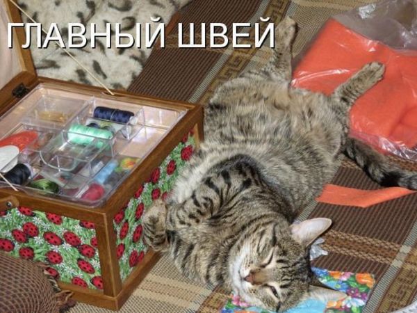 Посмеемся вместе! | Ярмарка Мастеров - ручная работа, handmade