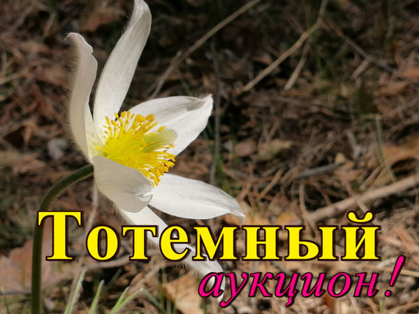 Тотемный аукцион (завершён) | Ярмарка Мастеров - ручная работа, handmade