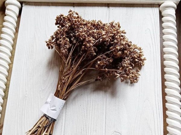 Сухоцветы букет цвета мокко | Ярмарка Мастеров - ручная работа, handmade