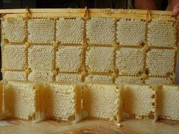Сотовый мед | Ярмарка Мастеров - ручная работа, handmade