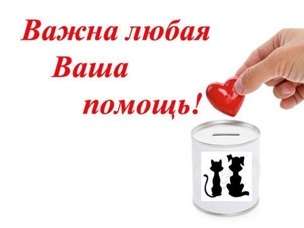 Отличного весеннего, картинки нужна помощь животным