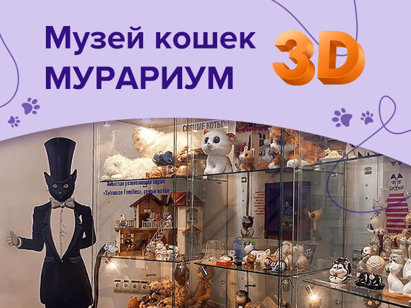 Новый 3D-тур: Музей кошек «Мурариум» | Ярмарка Мастеров - ручная работа, handmade