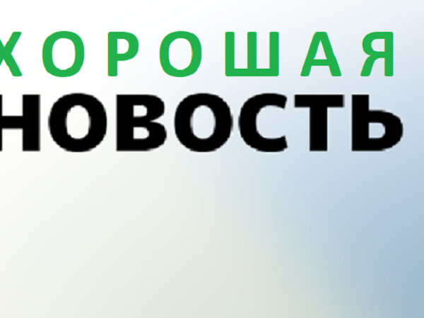 Восковая моль | Ярмарка Мастеров - ручная работа, handmade