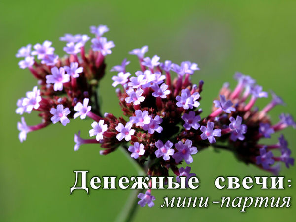 Денежные свечи: мини-партия | Ярмарка Мастеров - ручная работа, handmade