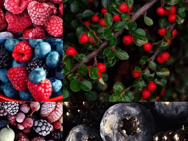 Ягодное волшебство: полезные свойства вкусных плодов | Ярмарка Мастеров - ручная работа, handmade