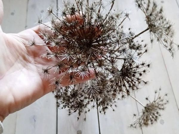 Амми | Ярмарка Мастеров - ручная работа, handmade