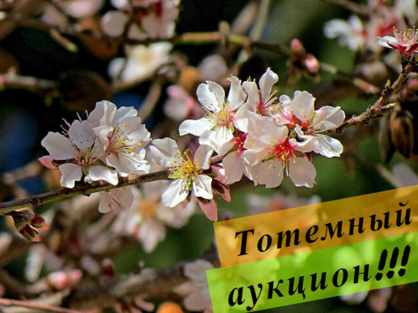 Тотемный аукцион (завершён) | Ярмарка Мастеров - ручная работа, handmade