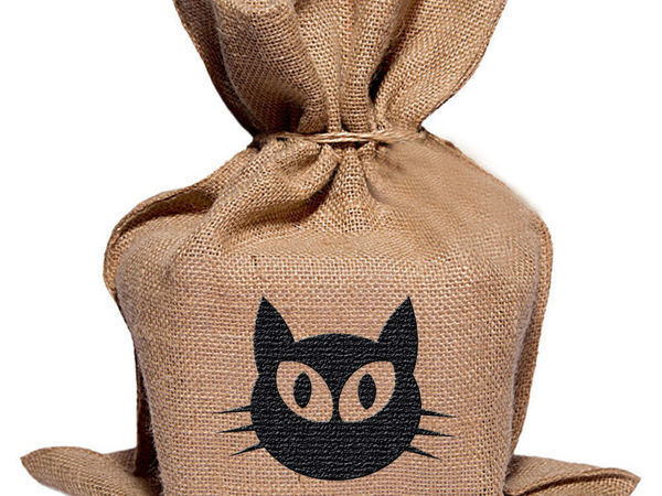 The cat s in the Bag stock image. Image of hidden, background - 5123309