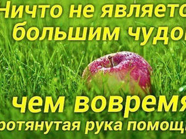 Собираем средства на лечение. Благотворительная лотерея . | Ярмарка Мастеров - ручная работа, handmade