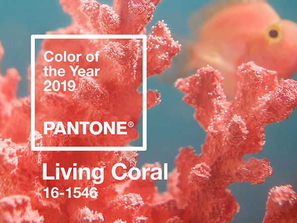 Pantone Color Institute Named the Main Color of 2019 | Livemaster - handmade