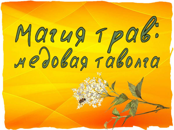 Новинка: «Mедовая таволга» ! | Ярмарка Мастеров - ручная работа, handmade