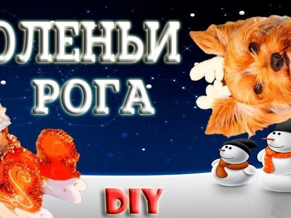 Новогодний костюм для собаки. Видеоурок по вязанию оленьих рогов | Ярмарка Мастеров - ручная работа, handmade