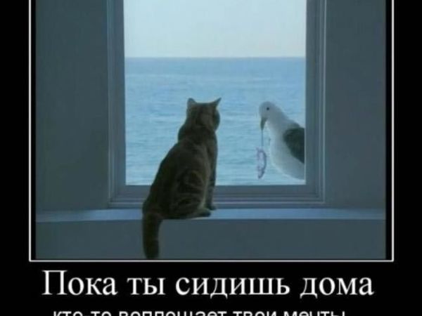 Авторская Публикация — поддержите участников | Ярмарка Мастеров - ручная работа, handmade