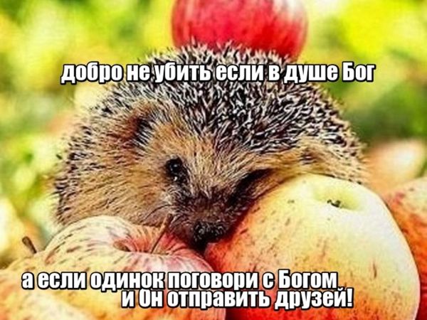 Благодарю Всем за Мое Счастье | Ярмарка Мастеров - ручная работа, handmade