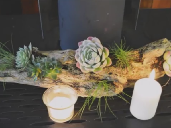 Украшаем свой дом суккулентами | Ярмарка Мастеров - ручная работа, handmade