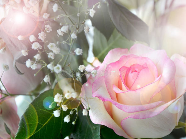 Волшебная Марокканская роза: Персональные записи в журнале Ярмарки Мастеров