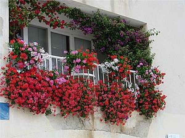Как создать прекрасный сад на балконе | Ярмарка Мастеров - ручная работа, handmade