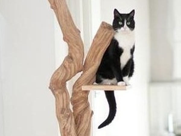 Стильные домики для кошки, которые украсят домашний интерьер: 15 примеров от ReRooms