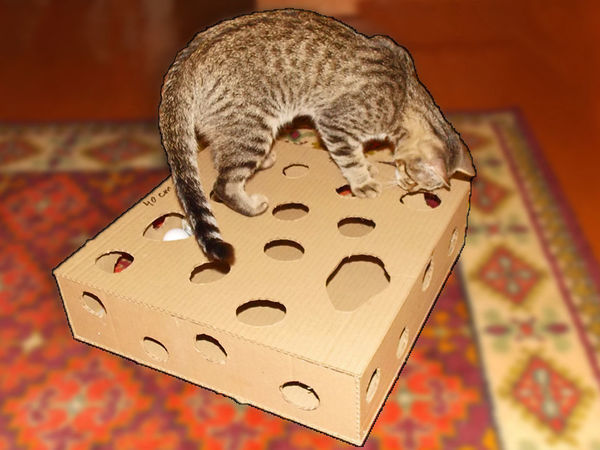 игрушка для кошки из коробки с дырками