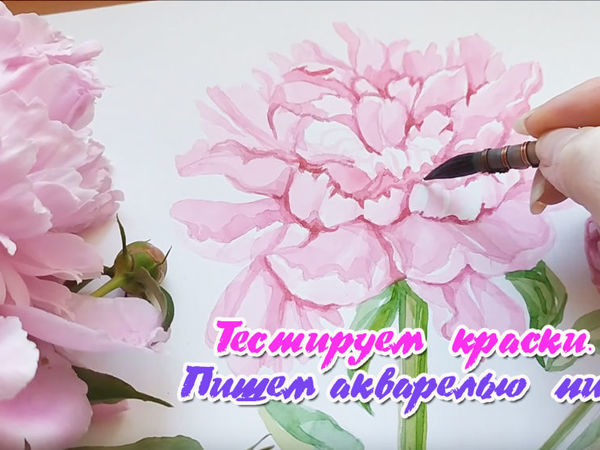 Пишем акварелью розовый пион | Ярмарка Мастеров - ручная работа, handmade