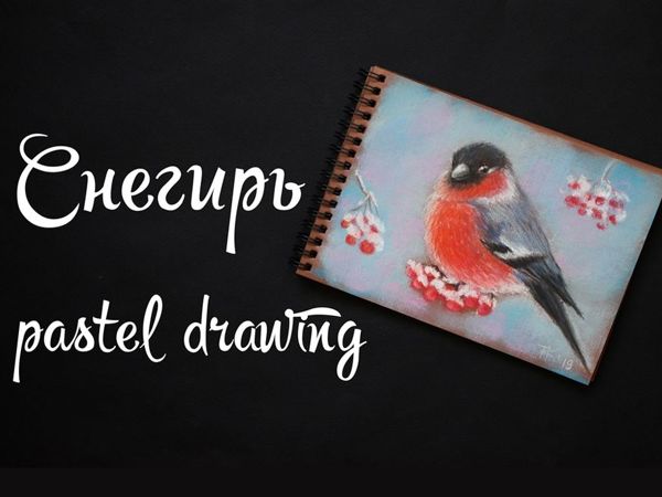 Video Tutorial: Bullfinch Pastel Drawing | Livemaster - handmade