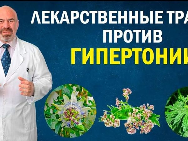 Травы против Гипертонии .Советы Игоря Цаленчука. Видео | Ярмарка Мастеров - ручная работа, handmade