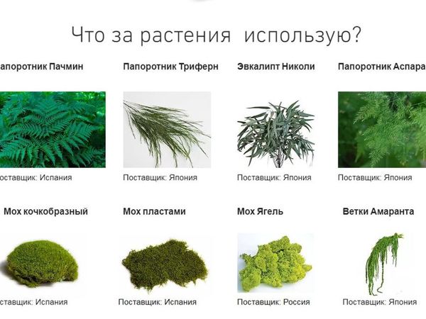 Какие растения использую? | Ярмарка Мастеров - ручная работа, handmade