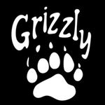Grizzly Paw - Livemaster - handmade