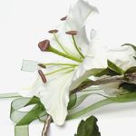 olli-silkflower