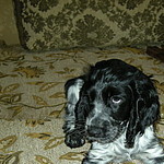 giuseppina