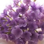 Tsvetochnaya lavochka - Livemaster - handmade