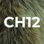 ch12-store
