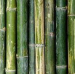 Masterskaya derevyannyh podarkov (bamboowood) - Livemaster - handmade