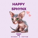 happy-sphynx