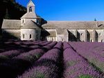 Lavanda. Magazin avtorskih podarkov - Ярмарка Мастеров - ручная работа, handmade