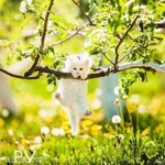 Yuliya - Livemaster - handmade
