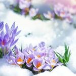 Svetlana*** - Livemaster - handmade