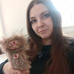 vasiliskascrap