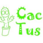 masterskaya-podarkov-cactus