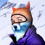 funnyzebra
