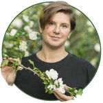 Natalya Shvets - Livemaster - handmade