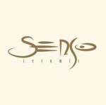 sensoceramic