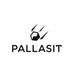 PALLASIT - Livemaster - handmade