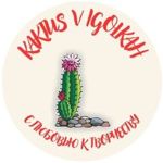kaktus-v-igolkah