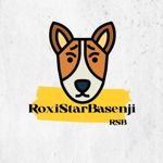 roxistarbasenji
