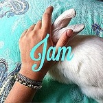 jam-jewelry