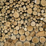 woodcreative