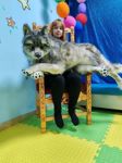 ekaterina-klimenko