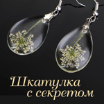 aniasaccessory