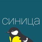 sinitsa-trikotazh-